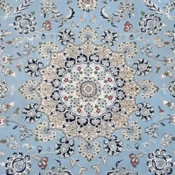 9 x 12 New Naien India Wool Silk Area Rug Design Details - pineville rug gallery - charlotte nc