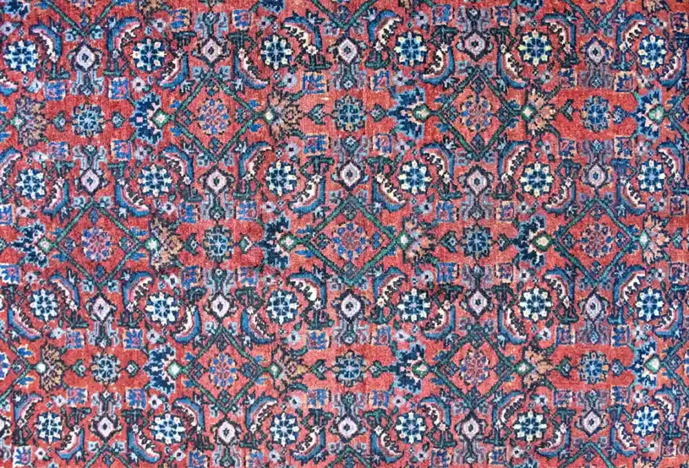 9 x 12 Bijar Persian Area Rug Design Details - pineville rug gallery - charlotte nc