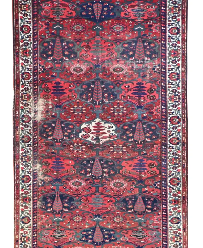 6 x 10 Antique Bakhtiari Persian Rug